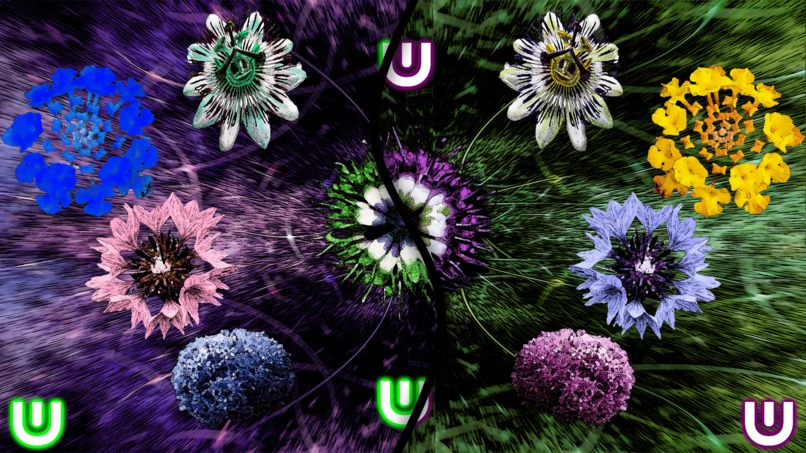 nature art – screenshot 1