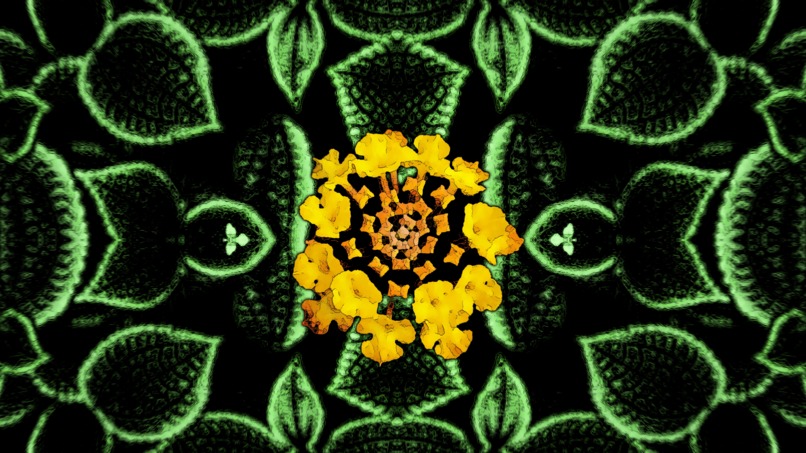 nature art – screenshot 8