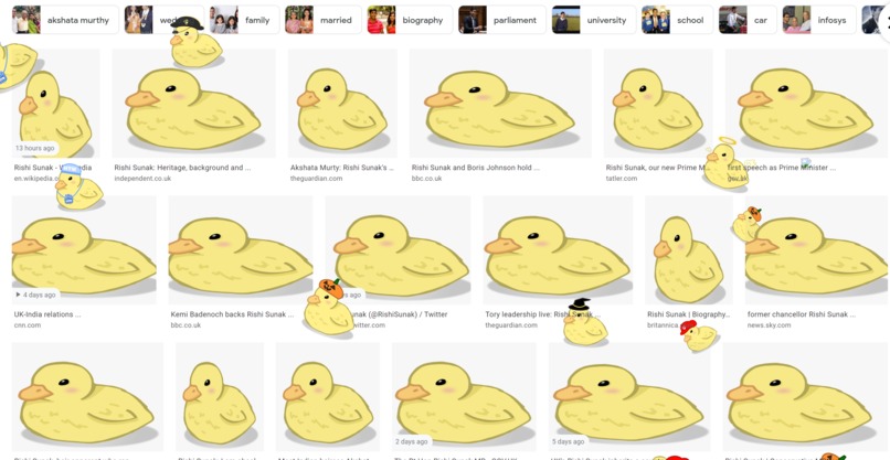 ❤ Ducktor - Your Adorable Web Companion – screenshot 1
