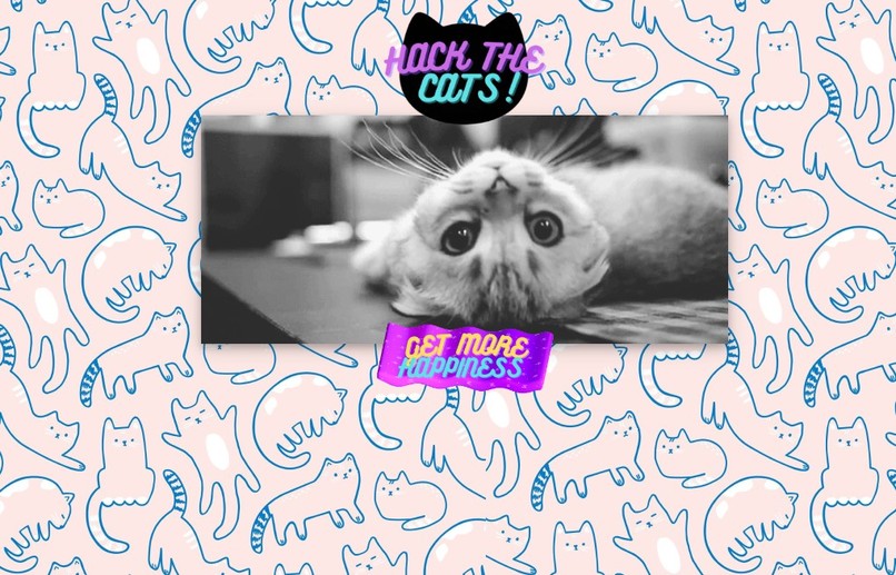 Hack The Cats – screenshot 4