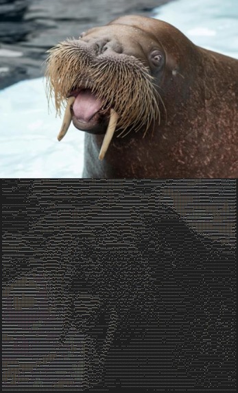 imascii – screenshot 1