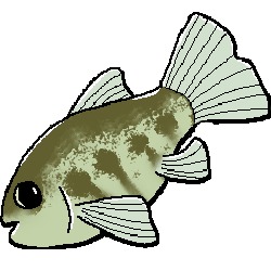 Hook: A Fishing Game – screenshot 4