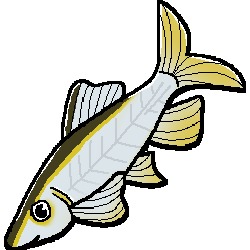 Hook: A Fishing Game – screenshot 5