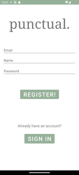 punctual. (Table 1) – screenshot 2