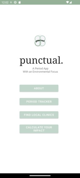 punctual. (Table 1) – screenshot 3