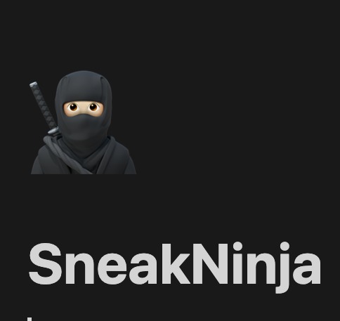 SneakNinja – screenshot 1