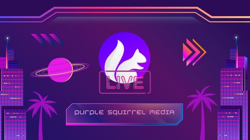 Purple Squirrel Media – screenshot 1