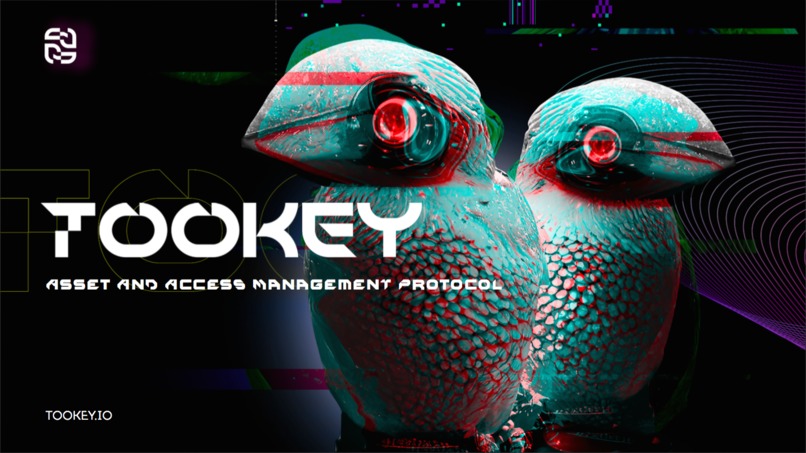 Tookey – screenshot 1