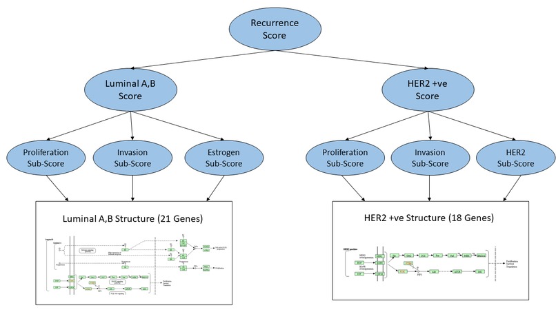  Machine Learning Model For Breast Cancer Prediction – screenshot 1