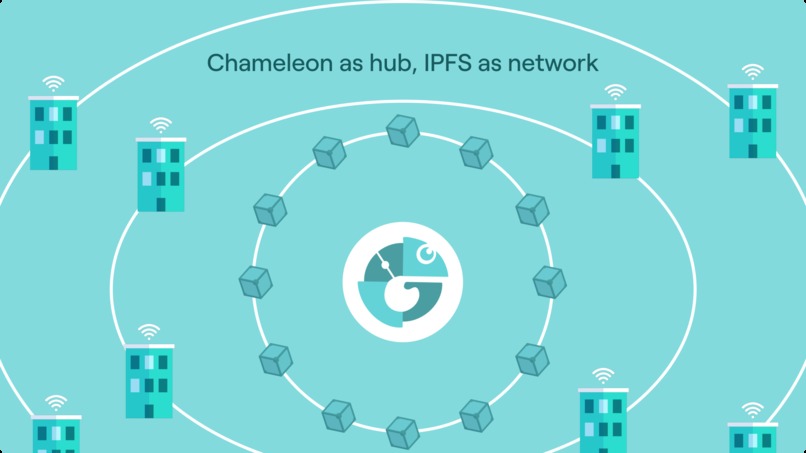 Chameleon – screenshot 1