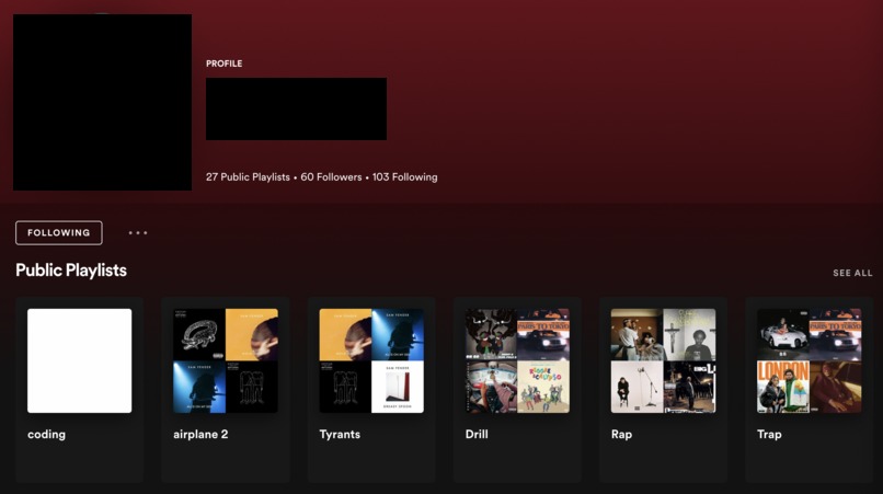 Spotify Music Recommender – screenshot 3