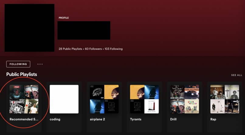 Spotify Music Recommender – screenshot 4