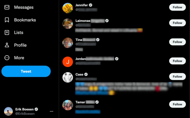 VerifyAll – screenshot 1
