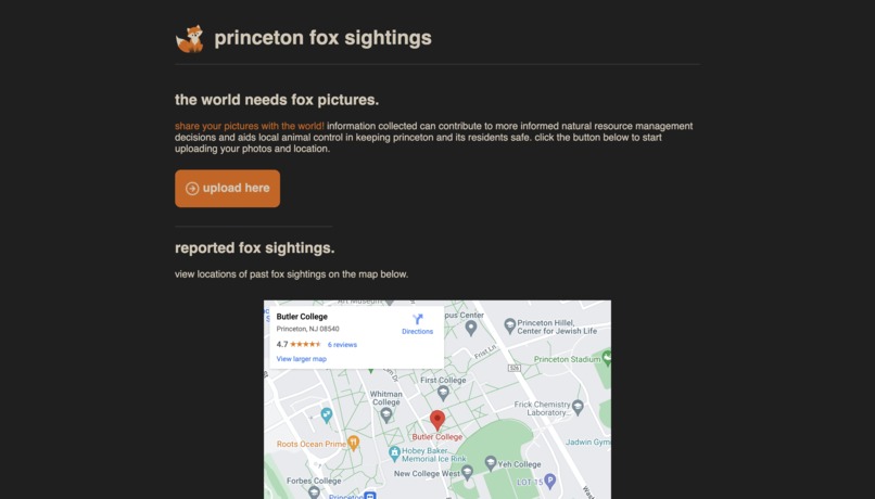 Princeton Fox – screenshot 1