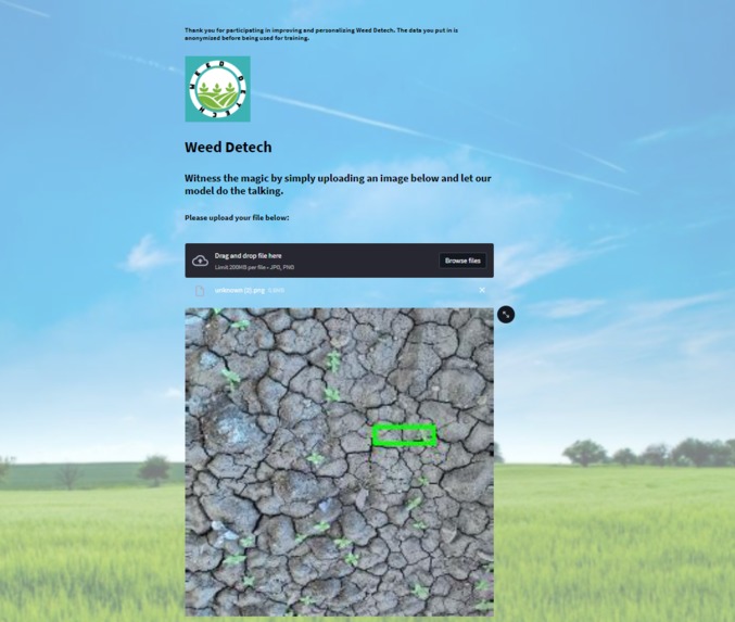Weed Detech – screenshot 6