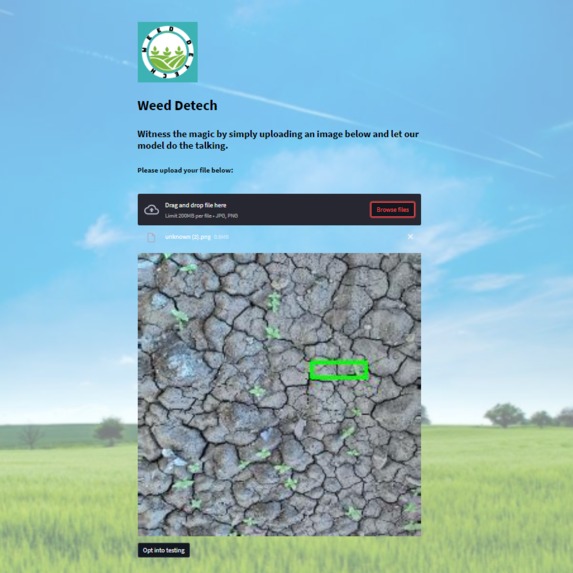 Weed Detech – screenshot 4