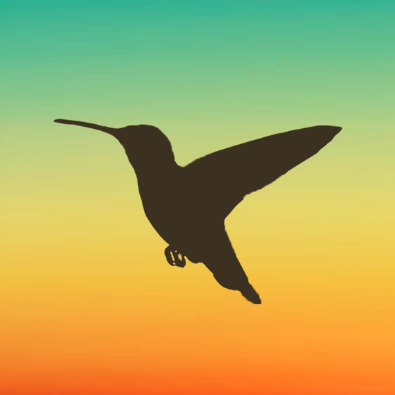 Hummingbird – screenshot 1