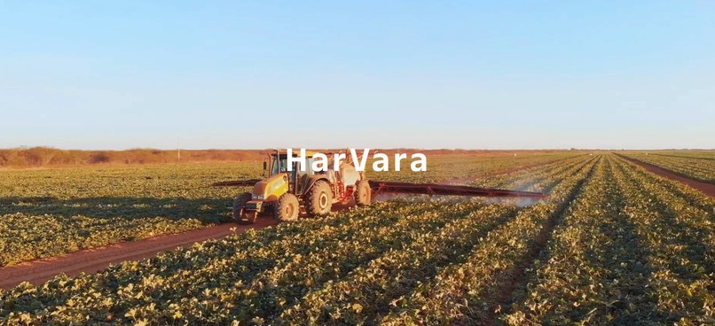 Harvara – screenshot 4