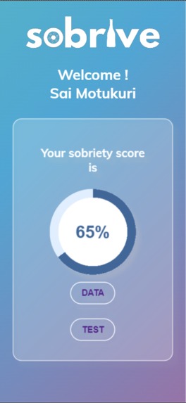 Sobrive – screenshot 1