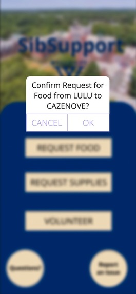 SibSupport – screenshot 2