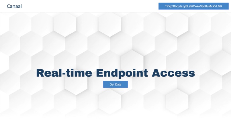 Canaal – screenshot 1