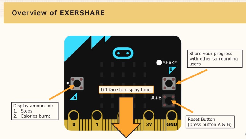 EXERSHARE – screenshot 3