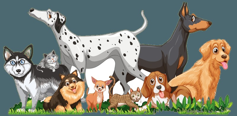 Pawsitive – screenshot 6