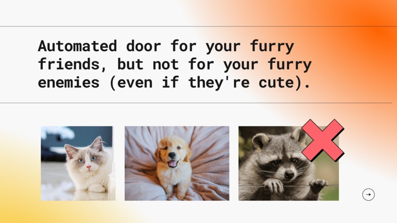 PetAlert – screenshot 2