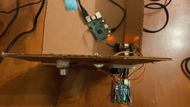 PetAlert – screenshot 4