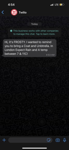 WinterBuddy – screenshot 2