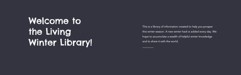 WinterBuddy – screenshot 5