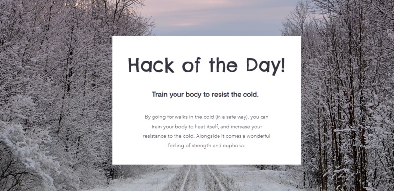 WinterBuddy – screenshot 10