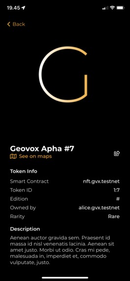 Geovox – screenshot 6