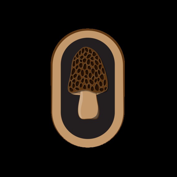 Morel - Decentralized Information Protocol  – screenshot 1