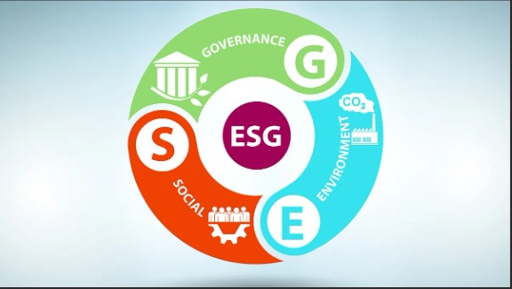 Impact of ESG on Credit Risk for a Bank – screenshot 1