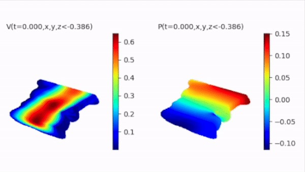SAAIV: Reconstructing Velocity/Pressure Fields on the Brain. – screenshot 1
