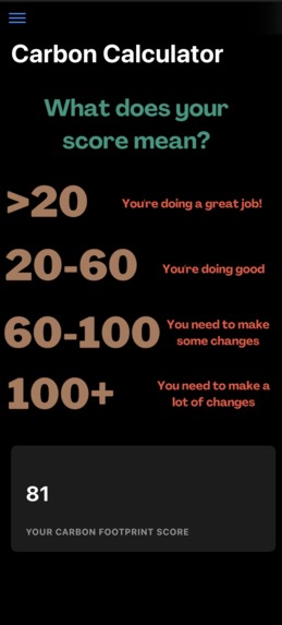 Eco Friend – screenshot 4