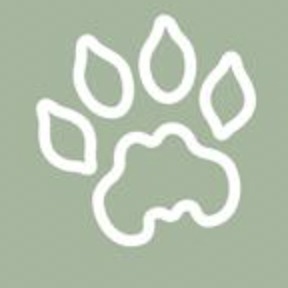 Trail to Tranquility – screenshot 11