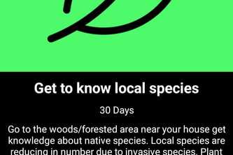 EcoQuests