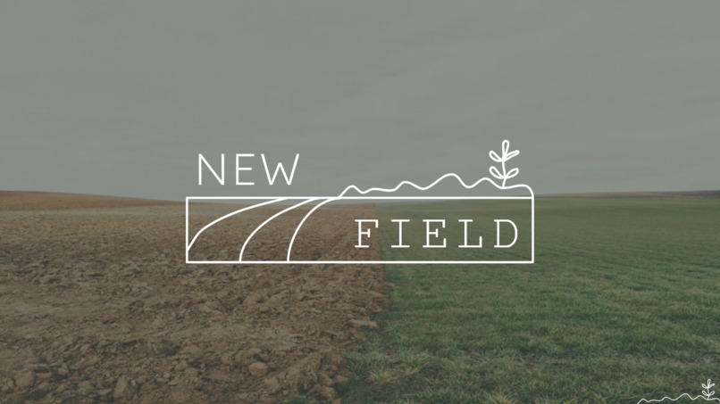 NewField - Modern Soil in the Face of Erosion – screenshot 1