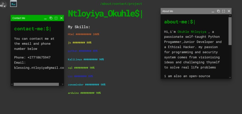 Portfolio Site – screenshot 1