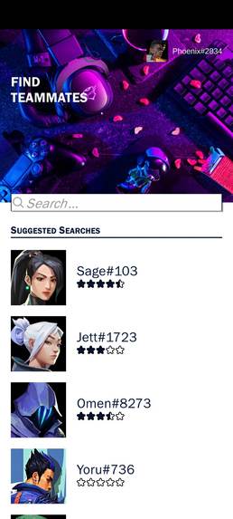 Figa (Find Gamers) – screenshot 1