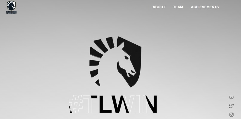 TL VALORANT WEBPAGE – screenshot 2