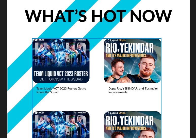TL homepage revamp – screenshot 2