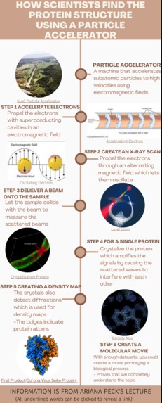 Protein Structure Infographic – screenshot 1