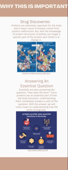 Protein Structure Infographic – screenshot 2