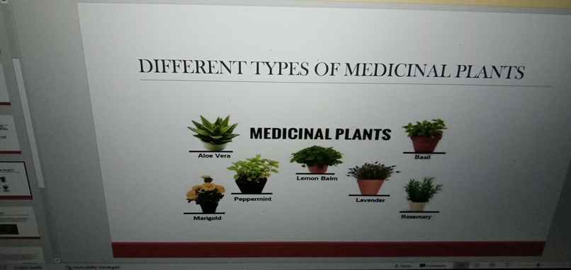 Pythomedicine – screenshot 6