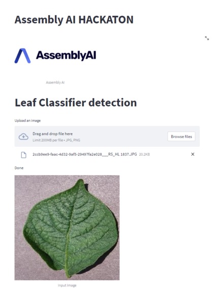 Leaf Classification App – screenshot 1
