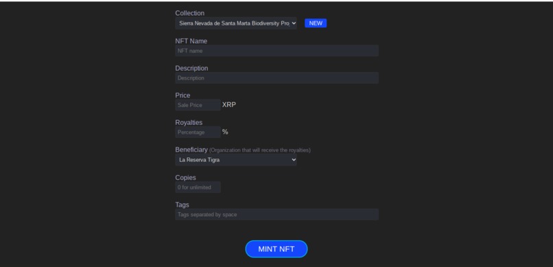 EnlightenMint Charitable NFT Marketplace – screenshot 2