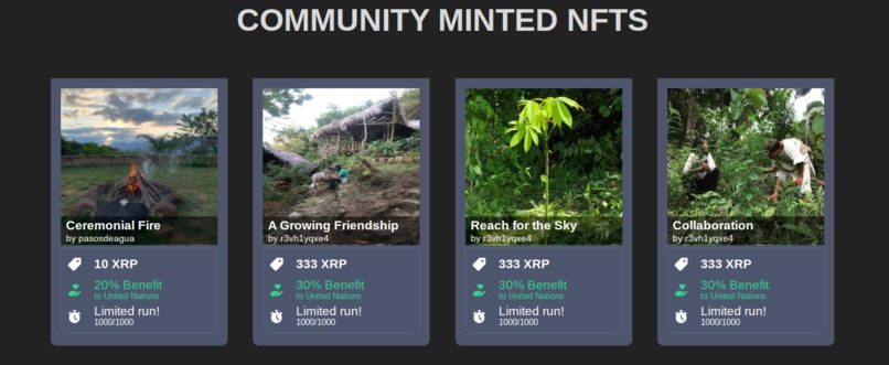EnlightenMint Charitable NFT Marketplace – screenshot 3